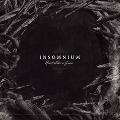 Insomnium: Karelia 2049 (Bonus track)