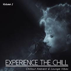 Various Artists: Experience the Chill, Vol. 1 (Chillout Ambient & Lounge Vibes)