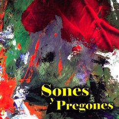 Various Artists: Sones y Pregones