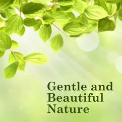 Various Artists: Gentle and Beautiful Nature, Vol. 1
