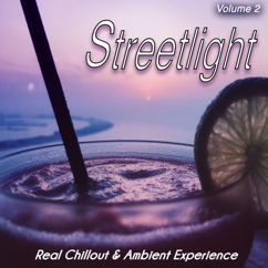 Various Artists: Streetlight, Vol. 2 (Real Chillout & Ambient Experience)