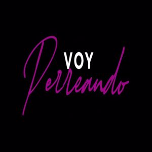 DJ VALEN: Voy Perreando