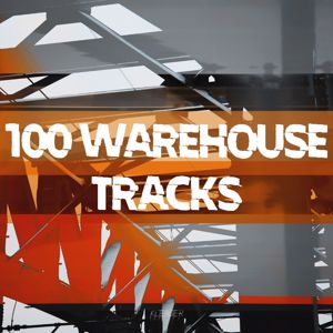 Various Artists: 100 Warehouse Tracks