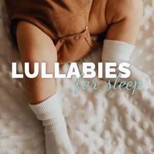 Various Artists: Lullabies for Sleep