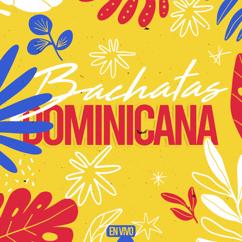 Bachatas Dominicanas: Bachatas Dominicanas (En Vivo)